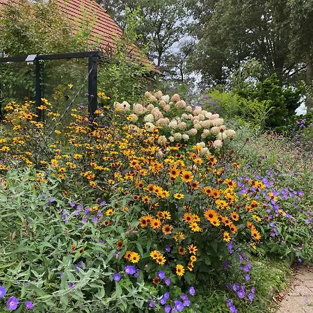 De Viersprong Bed & Breakfast Laren (Gelderland)