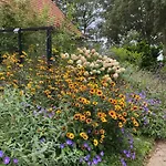 De Viersprong Nocleg ze śniadaniem Laren (Gelderland)