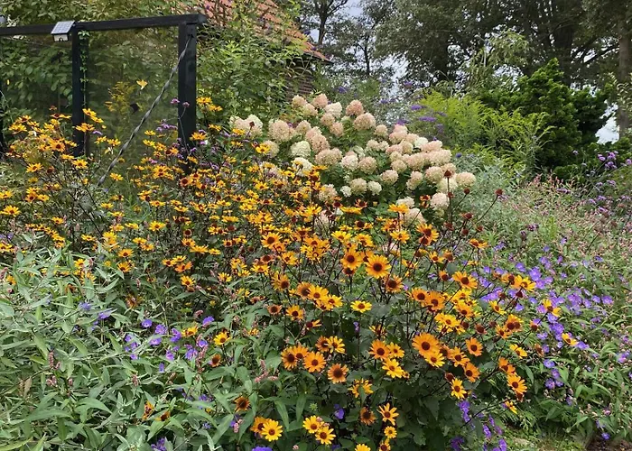 De Viersprong Bed & Breakfast Laren (Gelderland)